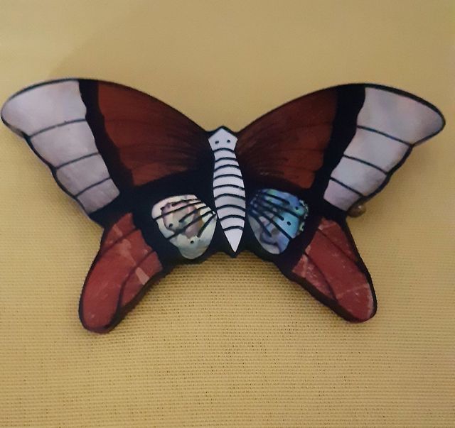 Pasador cabello mariposa 🦋
