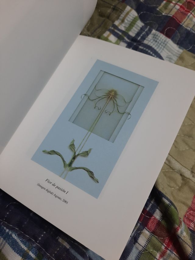 La siesta del lobo, grabado