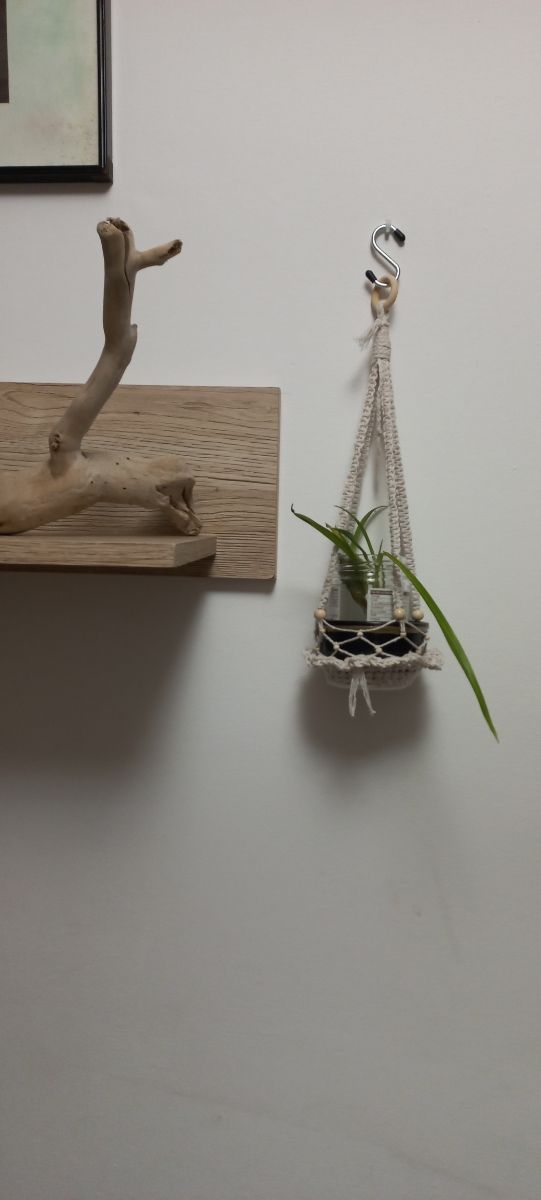 Portavasetto piantina