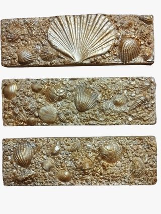 Esterilla de silicona con forma 3D oceánica