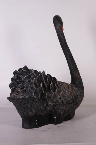 Figura cisne negro
