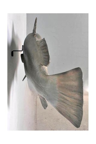 Figura Perca