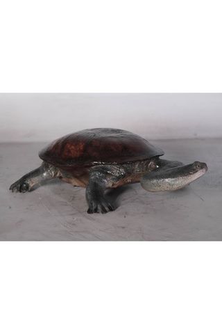 Figura tortuga cuello largo