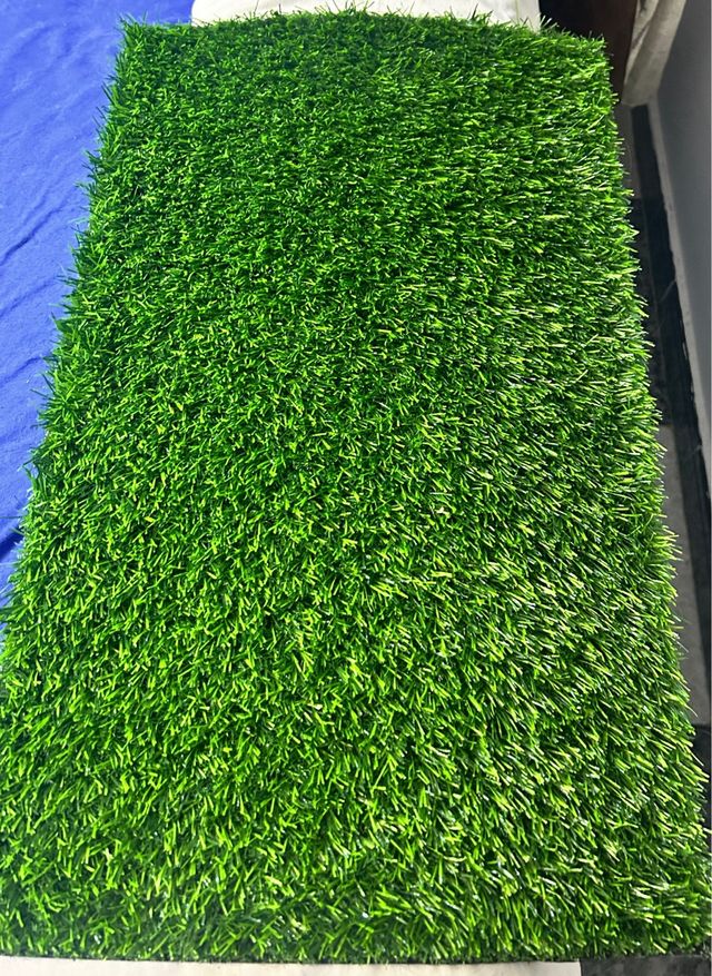 Bandejas sanitarias para perros de hasta 7kg