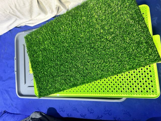 Bandejas sanitarias para perros de hasta 7kg