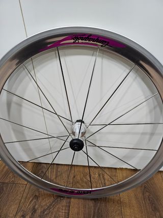 Rueda trasera Campagnolo Vento 16HPW