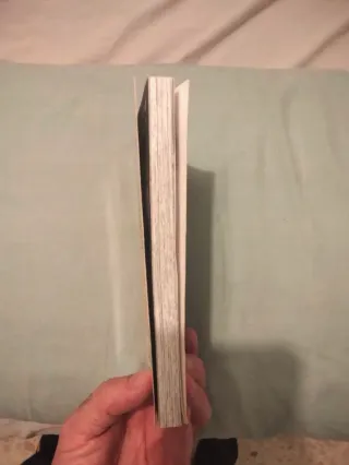 Cómic libro One Piece número 1