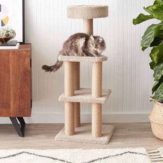 Tiragraffi ad albero per gatti Grande