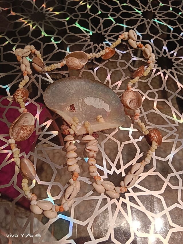 Collar de conchas 