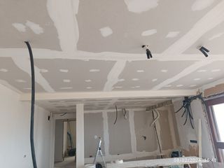 Pladurista profesional