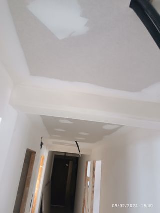 Pladurista profesional