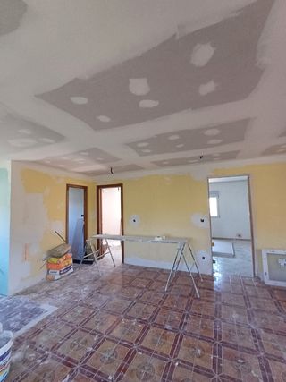 Pladurista profesional