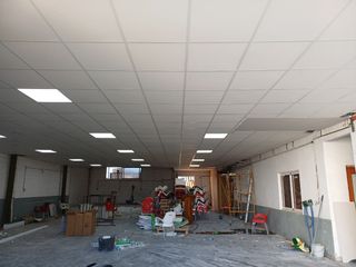 Pladurista profesional