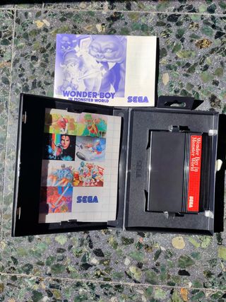 Máster.wonder boy in Monster world.Class