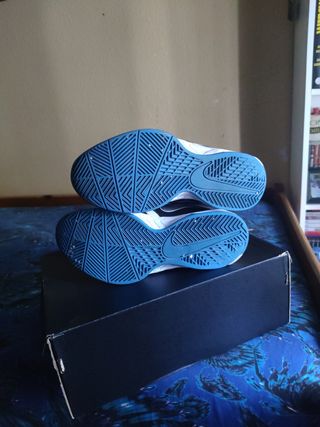 Zapatillas Nike Air visi pro 5