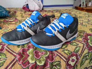 Zapatillas Nike Air visi pro 5