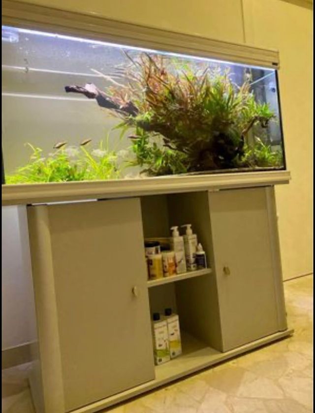 Acquario tropicale completo