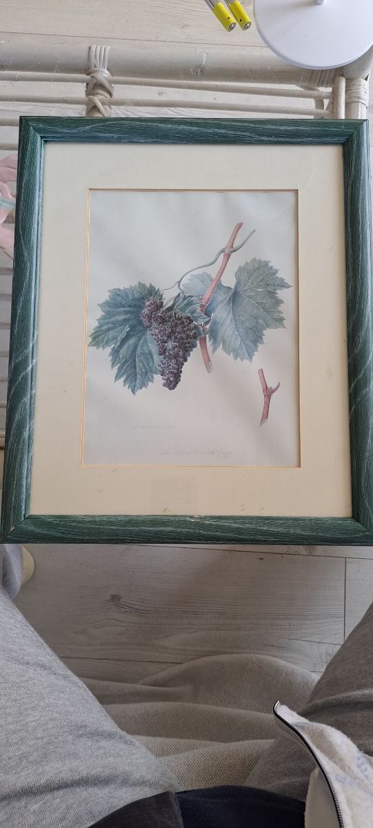 CUADROS COCINA O COMEDOR