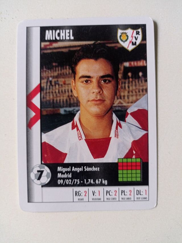 Cromo de Michel 1995