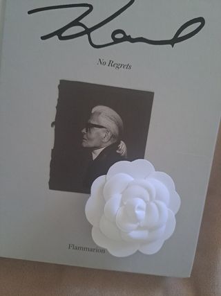 Spilla bianca Chanel