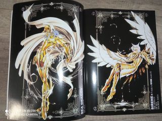 SAINT SEIYA ARTE SAGRADO