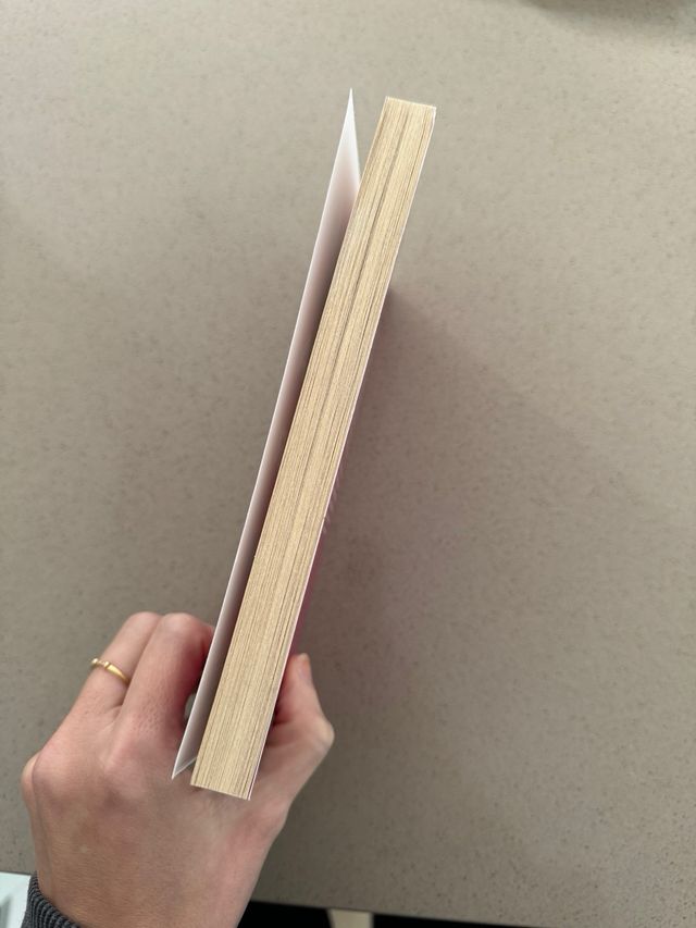 Libro A Lupita le gustaba planchar