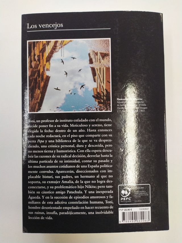 Los vencejos. Aramburu