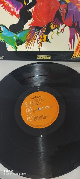 DISCO LP DE QUEEN SAMANTHA