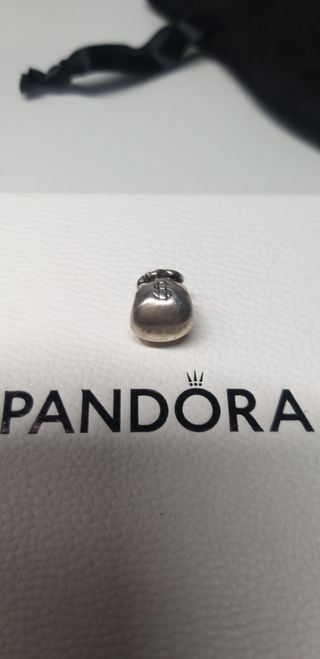 Charm saquito dinero