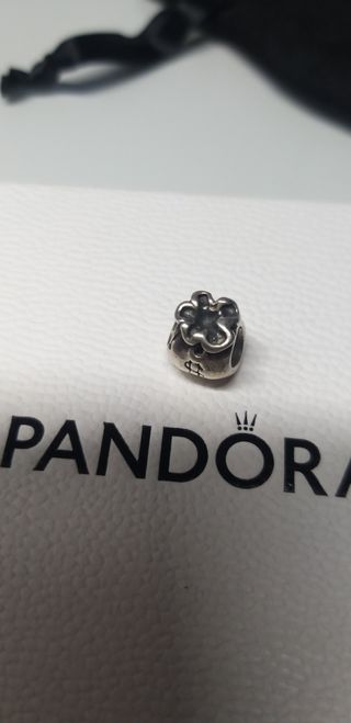 Charm saquito dinero