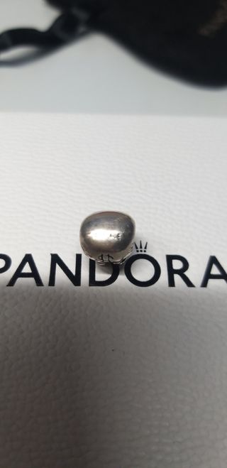 Charm saquito dinero