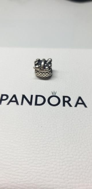 Charm Pandora cesta picnic