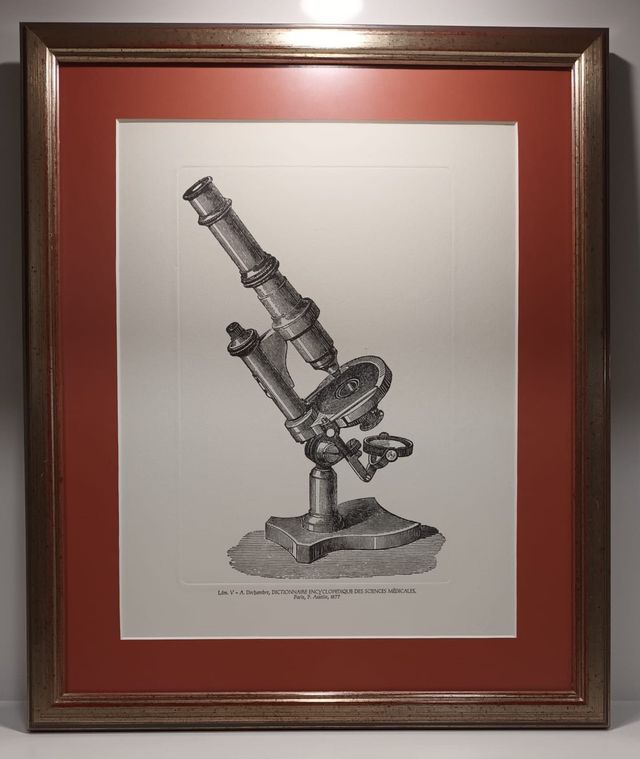 Cuadros motivos médicos.