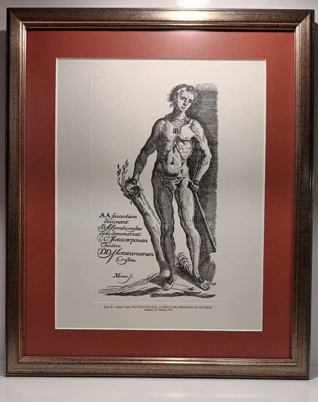 Cuadros motivos médicos.