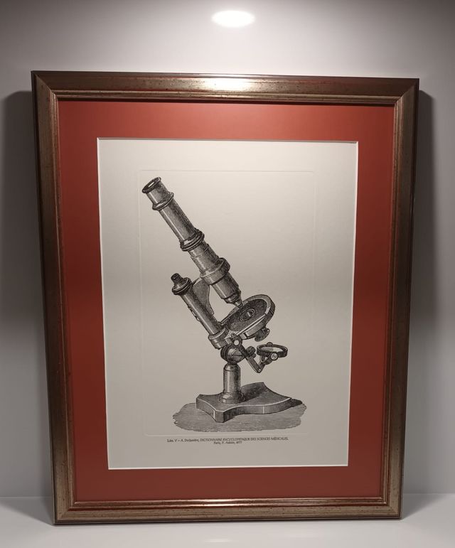 Cuadros motivos médicos.