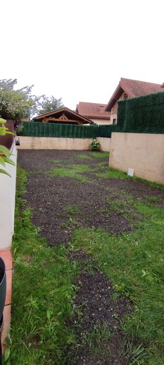 Siembras de césped con tierra vegetal y plantación