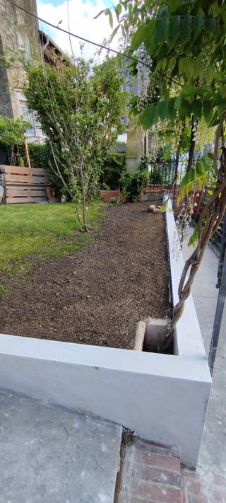 Siembras de césped con tierra vegetal y plantación