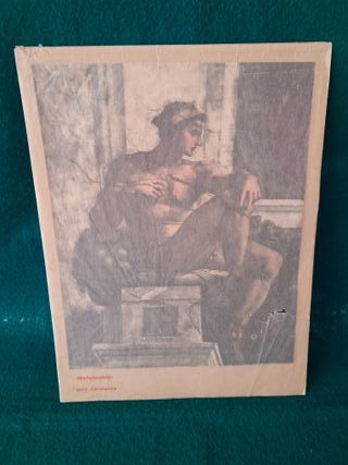 Adan, Lamina (Capilla sixtina, Museo Vaticano)