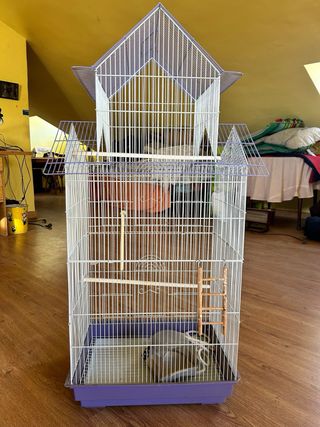 Jaula pajaros