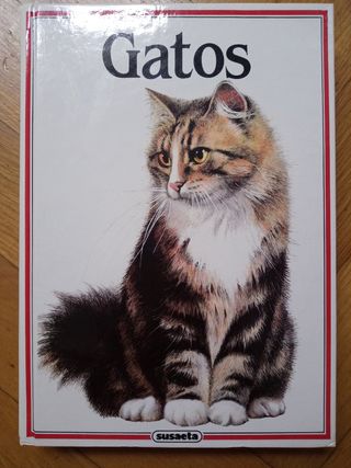 Libro