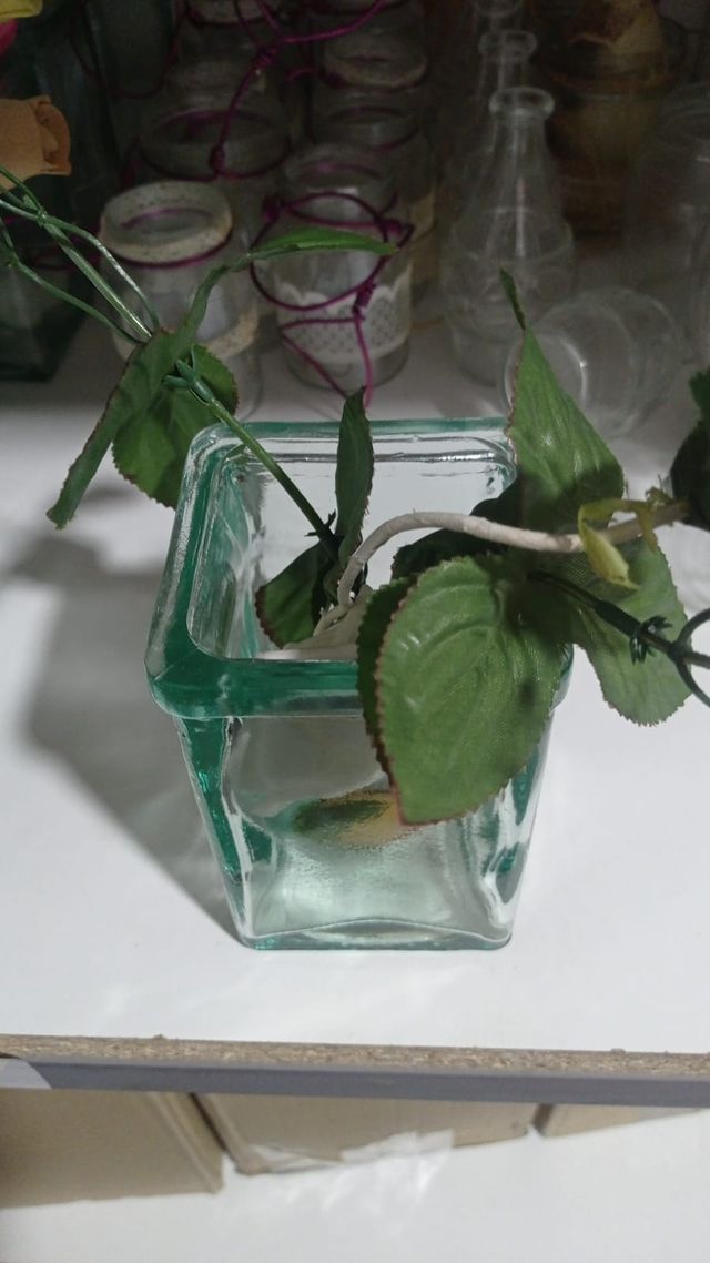 32 vasi in vetro temperato.