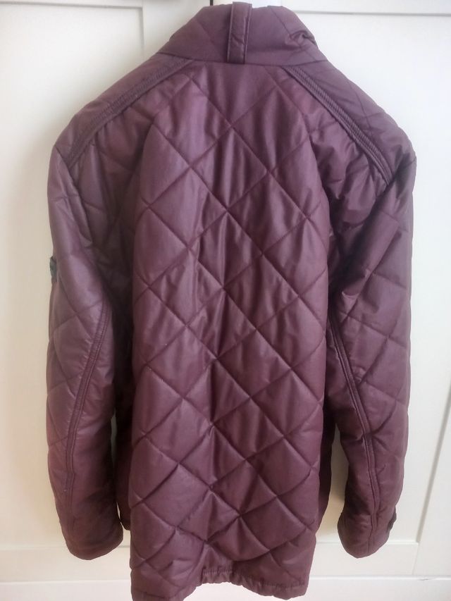 Cazadora Macgregor nueva