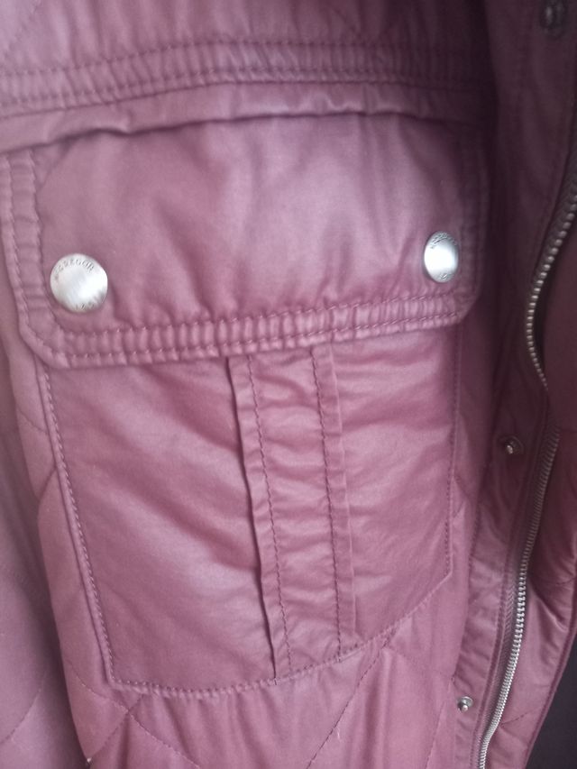 Cazadora Macgregor nueva