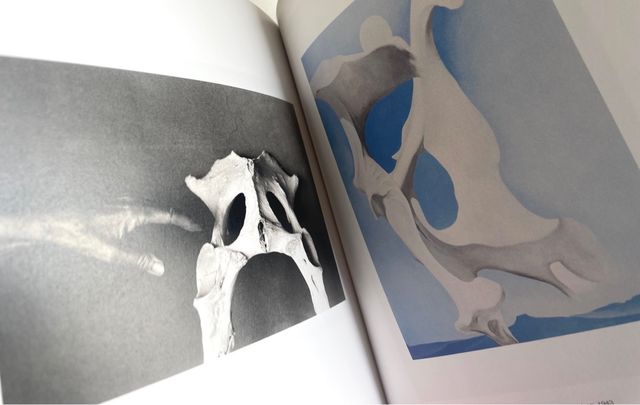 Georgia O'Keeffe e John Loengard ARTE