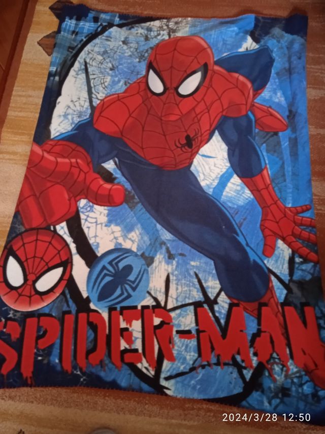Spiderman manta