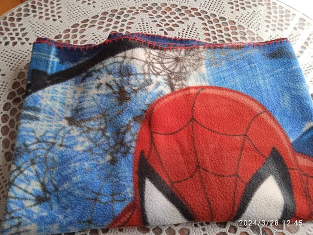 Spiderman manta