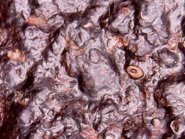 Meteorito GAO- GÜENIÉ de 127 grs. Con certificado