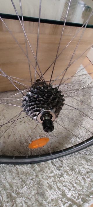 Rodillo Tacx + material