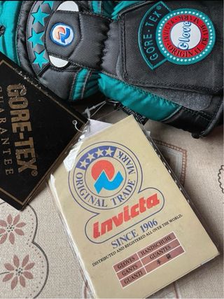 Guanti da sci Invicta serie Alberto Tomba