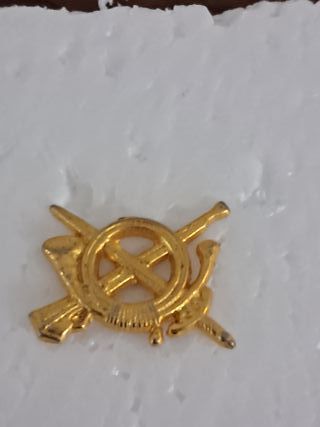 Insignia Brigada Paracaidista Arma Infanteria